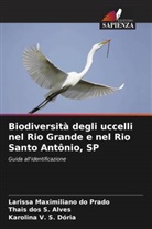 Thais dos S. Alves, Larissa Maximiliano do Prado, Karolina V. S. Dória - Biodiversità degli uccelli nel Rio Grande e nel Rio Santo Antônio, SP
