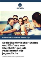 Adeshina Akinwumi Edwin Ojo - Sozioökonomischer Status und Einfluss von Gleichaltrigen als Prädiktoren für jugendliche