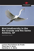 Thais dos S. Alves, Larissa Maximiliano do Prado, Karolina V. S. Dória - Bird biodiversity in the Rio Grande and Rio Santo Antônio, SP