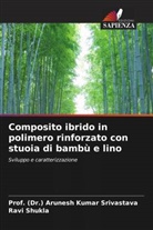 Ravi Shukla, (Dr. Arunesh Kumar Srivastava, Prof. (Dr.) Arunesh Kumar Srivastava - Composito ibrido in polimero rinforzato con stuoia di bambù e lino