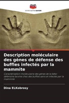 Dina ELKobrosy - Description moléculaire des gènes de défense des buffles infectés par la mammite