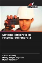 Sujata Pandey, Malay Ranjan Tripathy, Mukul Varshney - Sistema integrato di raccolta dell'energia