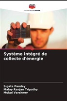 Sujata Pandey, Malay Ranjan Tripathy, Mukul Varshney - Système intégré de collecte d'énergie