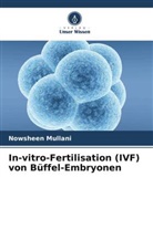 Nowsheen Mullani - In-vitro-Fertilisation (IVF) von Büffel-Embryonen