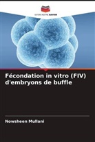 Nowsheen Mullani - Fécondation in vitro (FIV) d'embryons de buffle