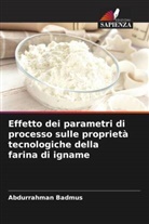 Abdurrahman Badmus - Effetto dei parametri di processo sulle proprietà tecnologiche della farina di igname