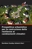 Davidson Sunday Ashemi Alaci - Prospettiva urbanistica per la costruzione della resilienza ai cambiamenti climatici