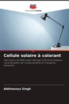 Abhimanyu Singh - Cellule solaire à colorant