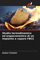 Atakan Tantekin - Studio termodinamico ed ergoeconomico di un impianto a vapore FBCC
