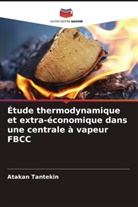 Atakan Tantekin - Étude thermodynamique et extra-économique dans une centrale à vapeur FBCC