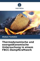 Atakan Tantekin - Thermodynamische und exergoökonomische Untersuchung in einem FBCC-Dampfkraftwerk