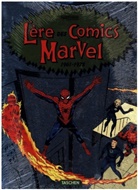 Roy Thomas - L'ère des comics Marvel : 1961-1978