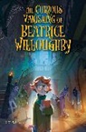 G Z Schmidt, G. Z. Schmidt - The Curious Vanishing of Beatrice Willoughby