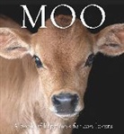 Angus St John Galloway, Angus St. John Galloway - Moo