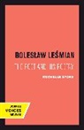 Rochelle Heller Stone - Boleslaw Lesmian