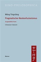 Tíngxiàng Wáng, Michael Leibold - Pragmatischer Neokonfuzianismus