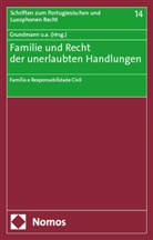 Christian Baldus, Stefan Grundmann, Claudia Lima Marques, Dário Moura Vicente, Karina Nunes Fritz, Rui Pereira Dias... - Familie und Recht der unerlaubten Handlungen