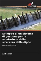 ALI SALMAN - Sviluppo di un sistema di gestione per la valutazione della sicurezza delle dighe