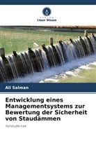 Ali Salman - Entwicklung eines Managementsystems zur Bewertung der Sicherheit von Staudämmen