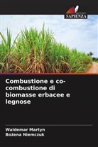 Waldemar Martyn, Bo¿ena Niemczuk, Bozena Niemczuk - Combustione e co-combustione di biomasse erbacee e legnose