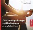 Philipp Feichtinger, Abbas Schirmohammadi, Abbas Schirmohammadi - Entspannungsübungen und Meditationen gegen Schmerzen (Audio-CD mit Booklet) (Audio book)