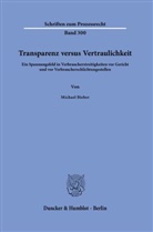 Michael Bieber - Transparenz versus Vertraulichkeit