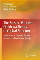 Peter Brusov, Tatiana Filatova, Natali Orekhova - The Brusov-Filatova-Orekhova Theory of Capital Structure