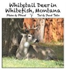 Frank Toller - Whitetail Deer in Whitefish, Montana