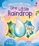 Sims Lesley, Lesley Sims, Sims Lesley, Emma Allen, Peep Inside Christmas Emma Allen - One Little Raindrop