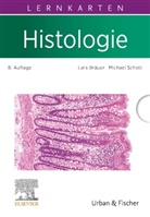 Lars Bräuer, Michael Scholz - Lernkarten Histologie