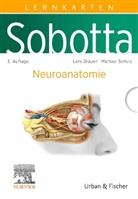 Lars Bräuer, Michael Scholz - Sobotta Lernkarten Neuroanatomie