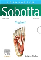 Lars Bräuer - Sobotta Lernkarten Muskeln