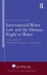Imad Antoine Ibrahim - International Water Law and the Human Right to Water