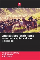 Yugesh Choudhary, Raju Sharda, S. K. Tiwari, S.K. Tiwari - Anestésicos locais como anestesia epidural em caprinos