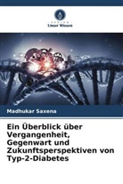 Madhukar Saxena - Ein Überblick über Vergangenheit, Gegenwart und Zukunftsperspektiven von Typ-2-Diabetes