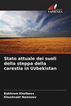 Bakhrom Kholboev, Khushvakt Namozov - Stato attuale dei suoli della steppa della carestia in Uzbekistan