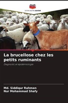 Nur Mohammad Shafy, Md. Siddiqur Rahman - La brucellose chez les petits ruminants