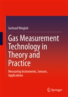 Gerhard Wiegleb - Gas Measurement Technology in Theory and Practice