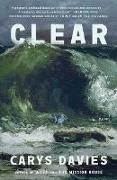 Carys Davies, Carys Davies - Clear