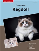 Kirsten Jacker - Traumrasse Ragdoll