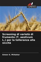 Ameer A. Mirbahar - Screening di varietà di frumento (T. aestivum L.) per la tolleranza alla siccità