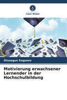 Olusegun Sogunro - Motivierung erwachsener Lernender in der Hochschulbildung