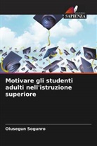 Olusegun Sogunro - Motivare gli studenti adulti nell'istruzione superiore