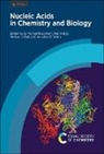 G Michael (University of Sheffield Blackburn, Prof. G Michael (University of Sheffiel Blackburn, G Michael Blackburn, G Michael (University of Sheffield Blackburn, Prof. G Michael (University of Sheffield Blackburn, Martin Egli... - Nucleic Acids in Chemistry and Biology