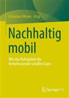 Johannes Weyer - Nachhaltig mobil