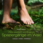 Spaziergänge Im Wald (Hörbuch)