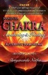 Shreyananda Natha - Manipura Chakra Awakening & Healing