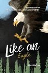 Alta H Haffner - Like an Eagle - Second Edition