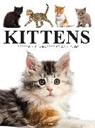 David Alderton - Kittens