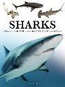 Tom Jackson - Sharks & Underwater Predators